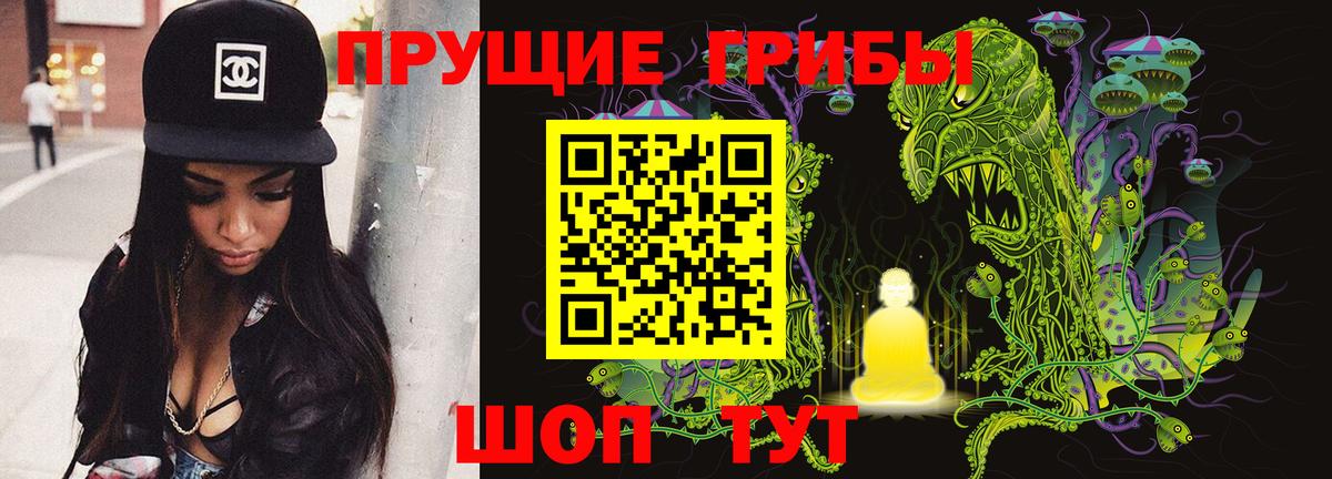 Псилоцибиновые грибы Psilocybe Воркута