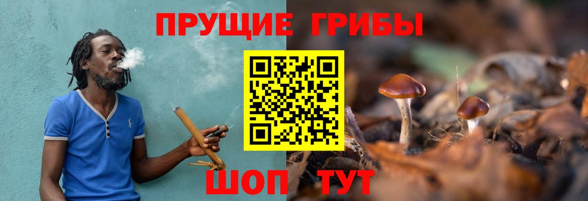 Псилоцибиновые грибы мицелий  Псилоцибиновые грибы прущие грибы  цены наркотик  Вход с VPN  Воркута 